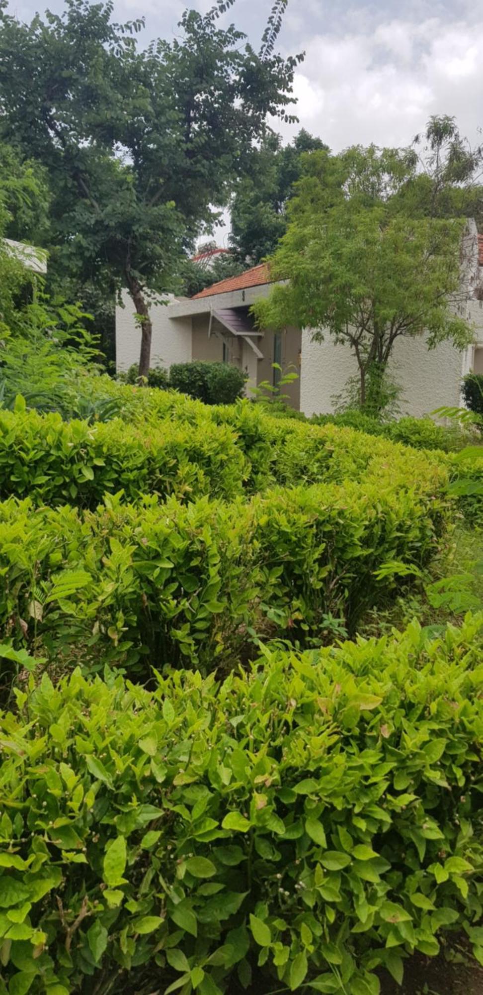 אאורנגבד The Meadows Resort And Spa חדר תמונה